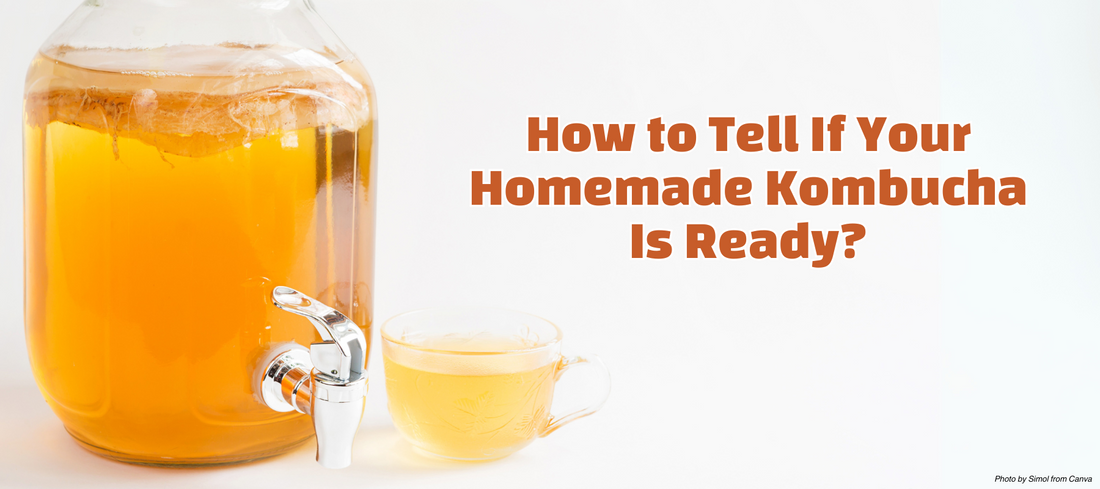 How to Know When Your Homemade Kombucha Is Ready