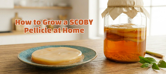 Grow Your Own SCOBY Pellicle at Home
