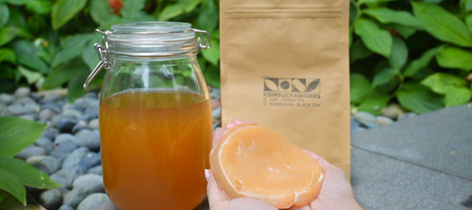 Kombucha for Plants: Natural Fertilizer