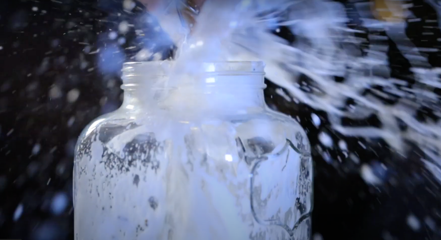 Kombucha Works | Your Favourite Kombucha Store