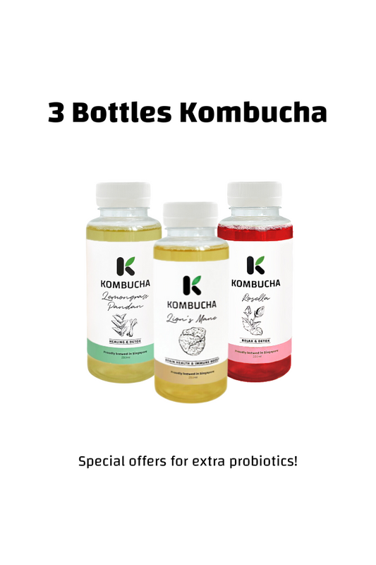 kombucha-works_3-bottles-kombucha