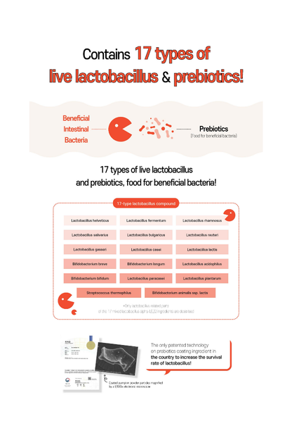 Heals Lab Kombucha Pomegranate